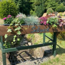 Selbach belegt 3. Platz im Dorfwettbewerb – und qualifiziert sich für Landesentscheid!