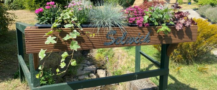 Selbach belegt 3. Platz im Dorfwettbewerb – und qualifiziert sich für Landesentscheid!
