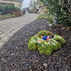 Selbach trotzt dem Regen: Erfolgreicher Freiwilligentag verschönert das Dorf