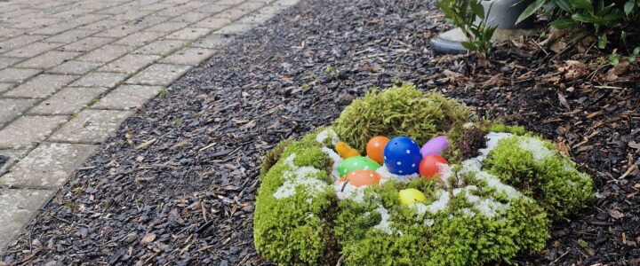 Selbach trotzt dem Regen: Erfolgreicher Freiwilligentag verschönert das Dorf